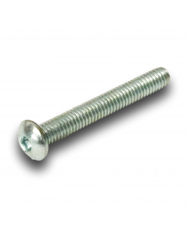 TRUSS HEAD SCREW M8X20 CL10.9