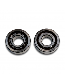 BEARING NJ 306 ECP