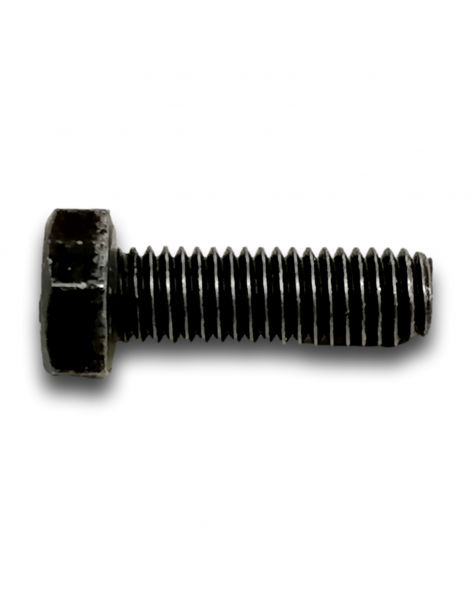 HEX HEAD SCREW M8X25