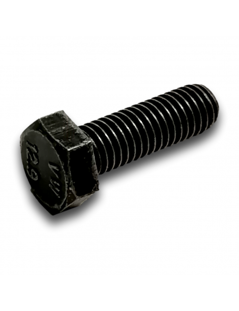 HEX HEAD SCREW M8X25