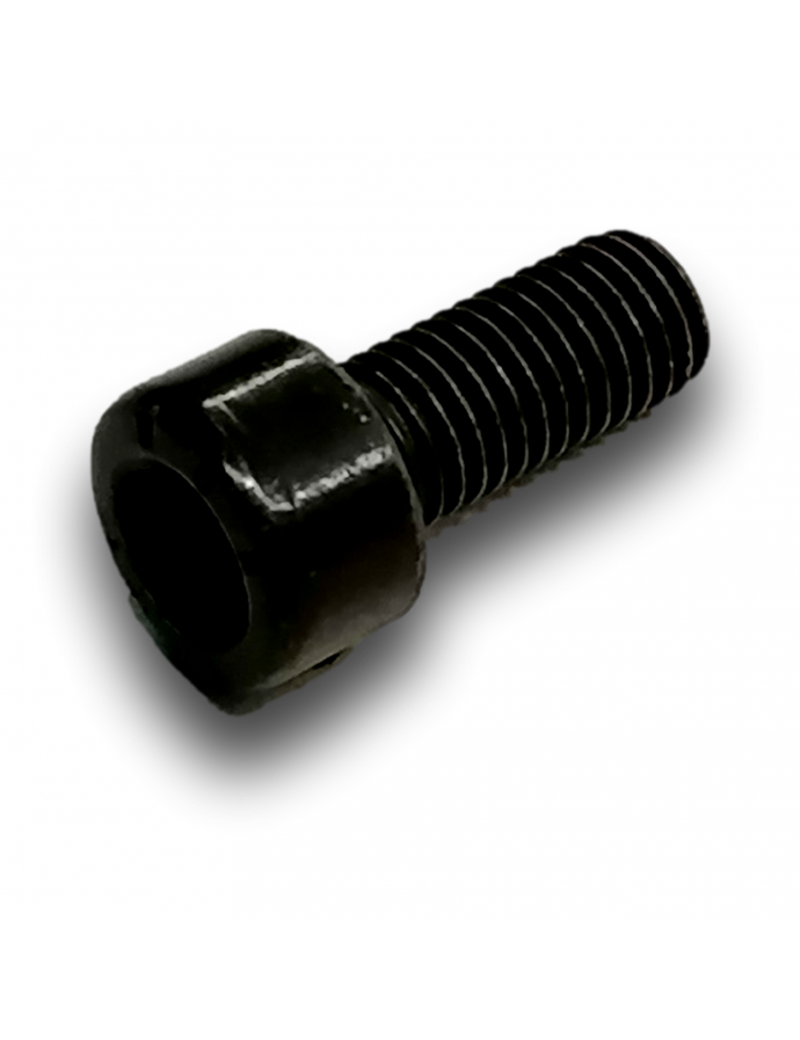 CAP HEAD SCREW M7X16 CL10.9 ZINC