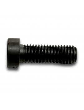 SLIM CAP HEAD SCREW M10X30 CL 10.9 ZINC HK