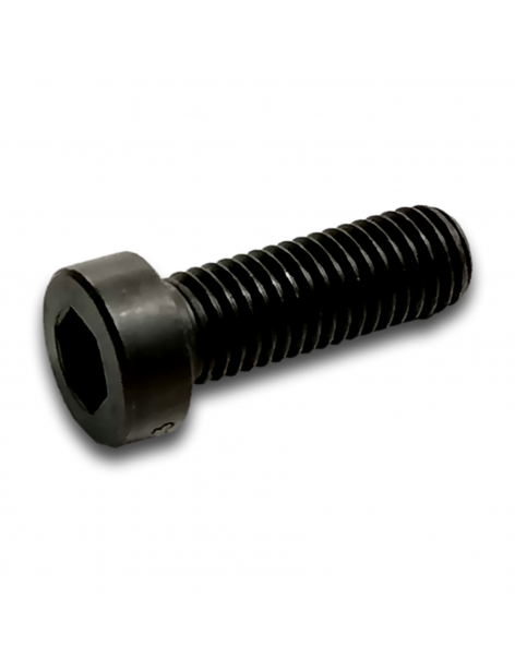 SLIM CAP HEAD SCREW M10X30 CL 10.9 ZINC HK