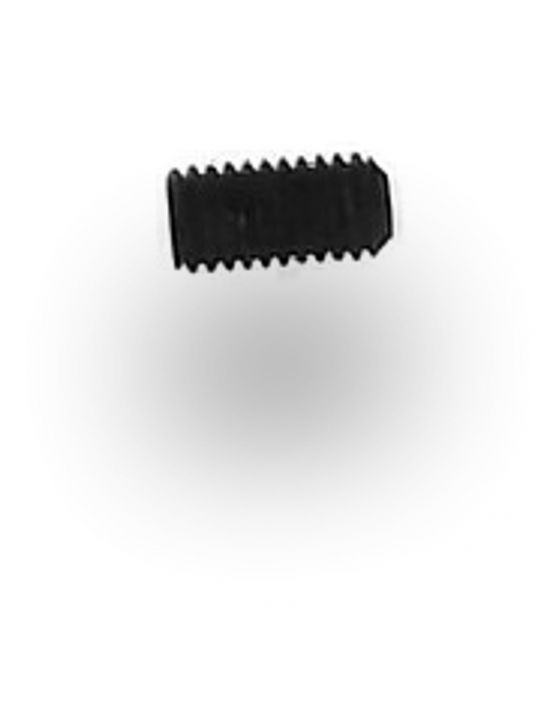 HEX HEAD SCREW M3X6 FLAT END CL10.9