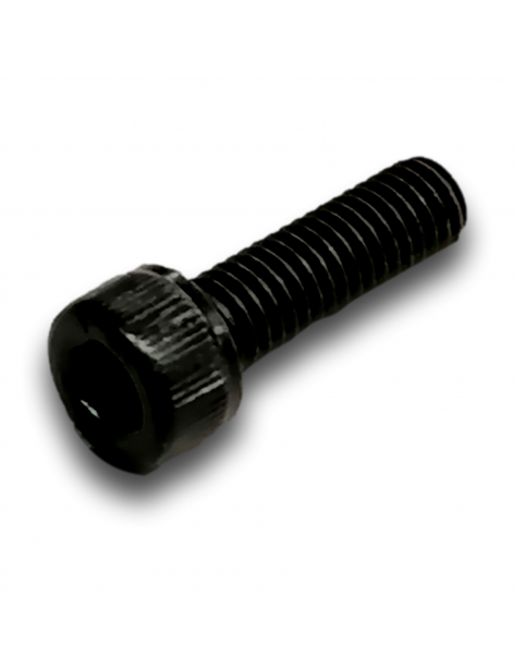 CAP HEAD SCREW M6X20 CL8.8 ZINC