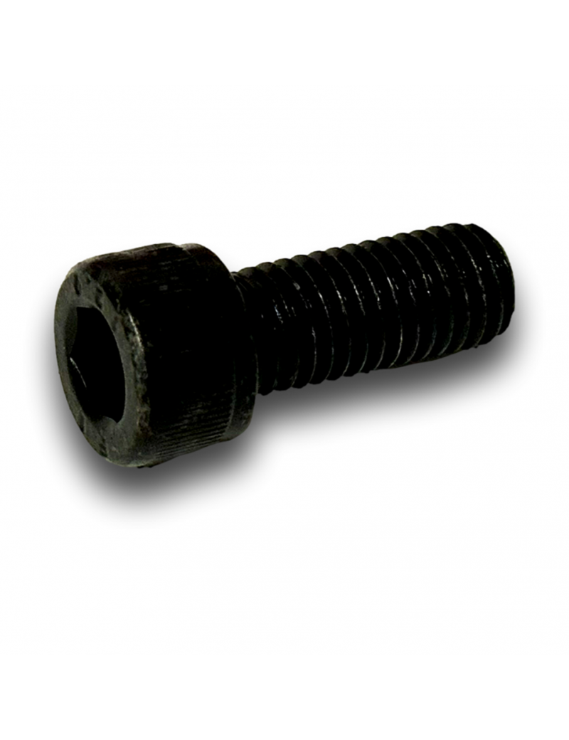 CAP HEAD SCREW M6X30 CL8.8 ZN