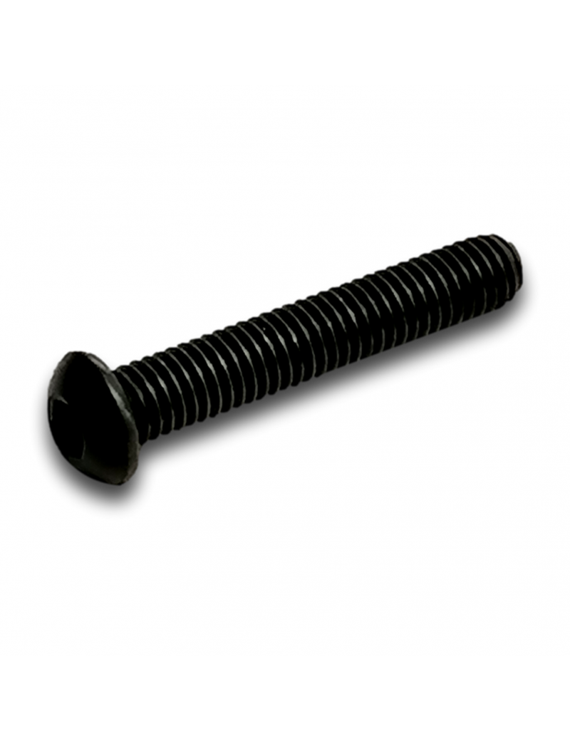 TRUSS HEAD SCREW M6X35 CL10.9