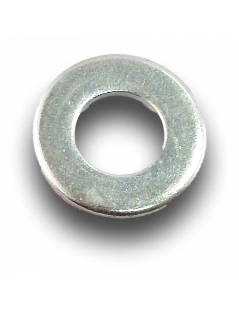 ECH200C SILENCER RETAINING WASHER