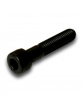 CAP HEAD SCREW M12X50 CL12.9