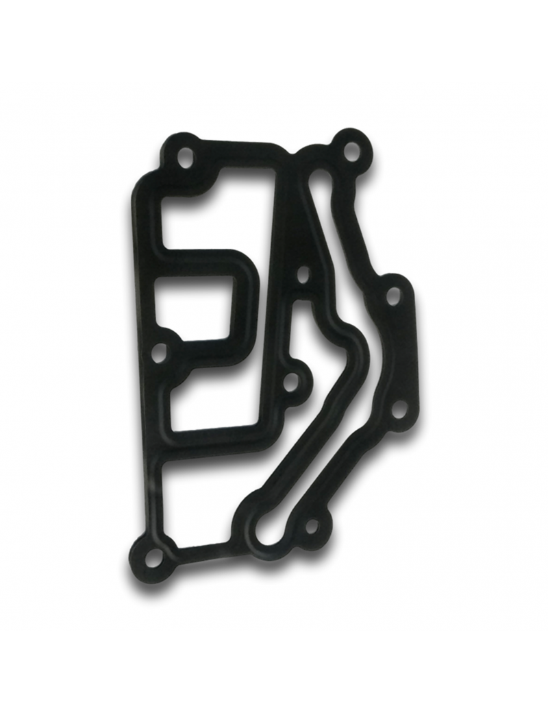 THERMOSTAT ASSEMBLY GASKET