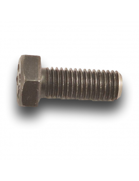 SCREW HH M12X31 CL12.9