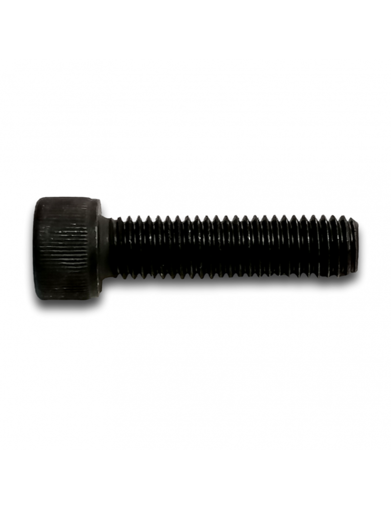 CAP HEAD SCREW M10X40 CL10.9