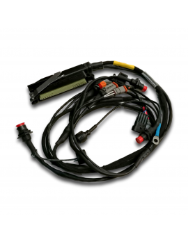 WIRING HARNESS MITJET SADEV-006