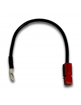 FAISCEAU INTERC DA CC