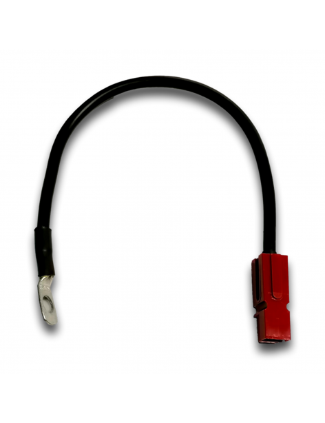 FAISCEAU INTERC DA CC