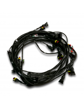 FAISCEAU MOTEUR 2L EVO