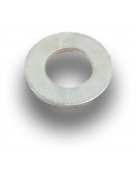 RONDELLE D10X20X2 PLATE
