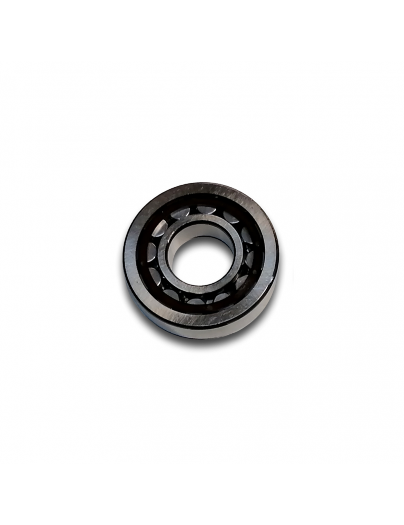 BEARING NJ 306 ECP