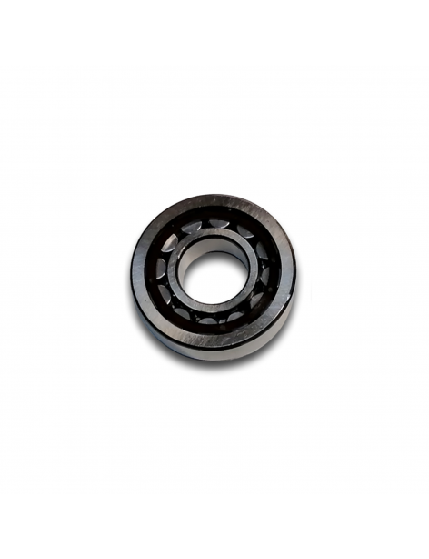 BEARING NJ 306 ECP