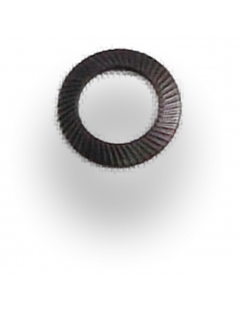 RONDELLE D7xD12 SCHNORR