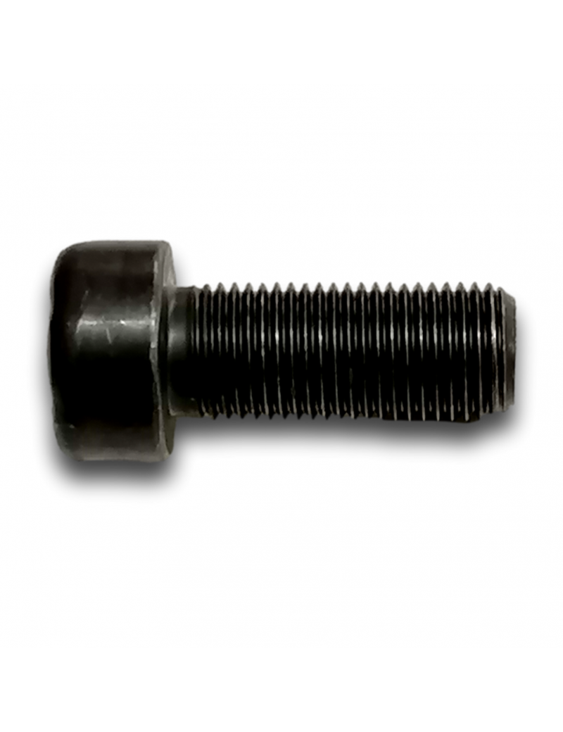 VIS CHC TORX M10X24 P100 VOLANT MOTEUR MITJET ST