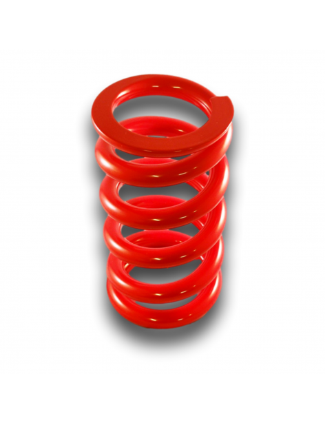 RESSORT AV ZF EVO 2022 MITJET 2L