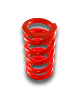 FRONT SPRING ZF EVO2022...
