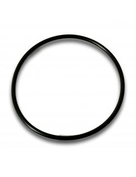 FLANGE OIL SEAL D88.49x3.53...