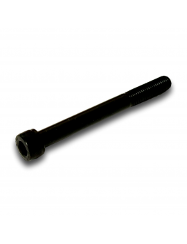 CAP HEAD SCREW M10X100-34...
