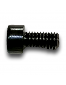 VIS CHC M5X10 CL 8.8 ZN